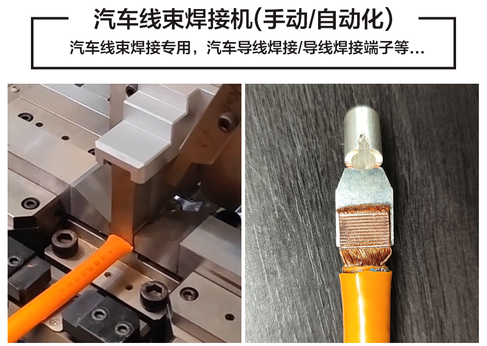 德召尼克